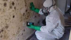 Mold Testing & Mold Inspections