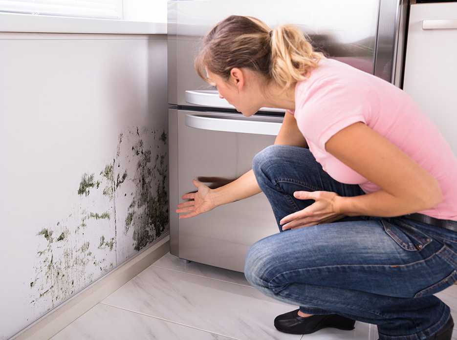 Residential and Commercial Mold Testing and Home Inspections