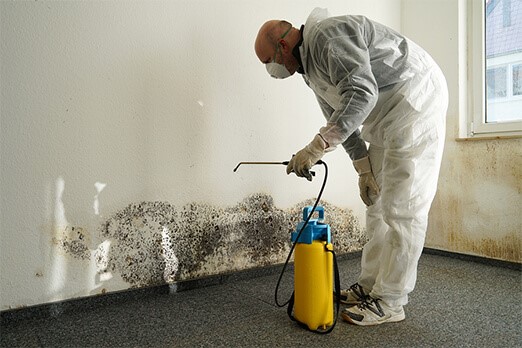 How to Remove Mold Safely – Mold Remediation