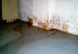 Mold Testing Westchester