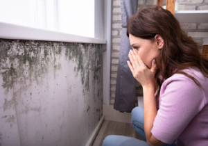 Is Mold Testing and Remediation Covered by Homeowners’ Insurance?