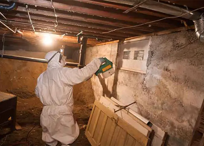 Mold Remediation